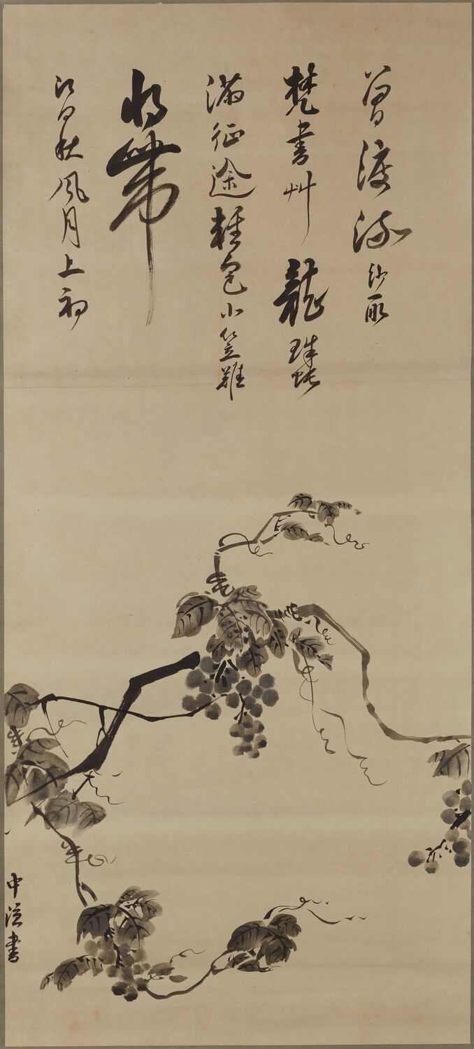 摹廉布葡萄图预览图