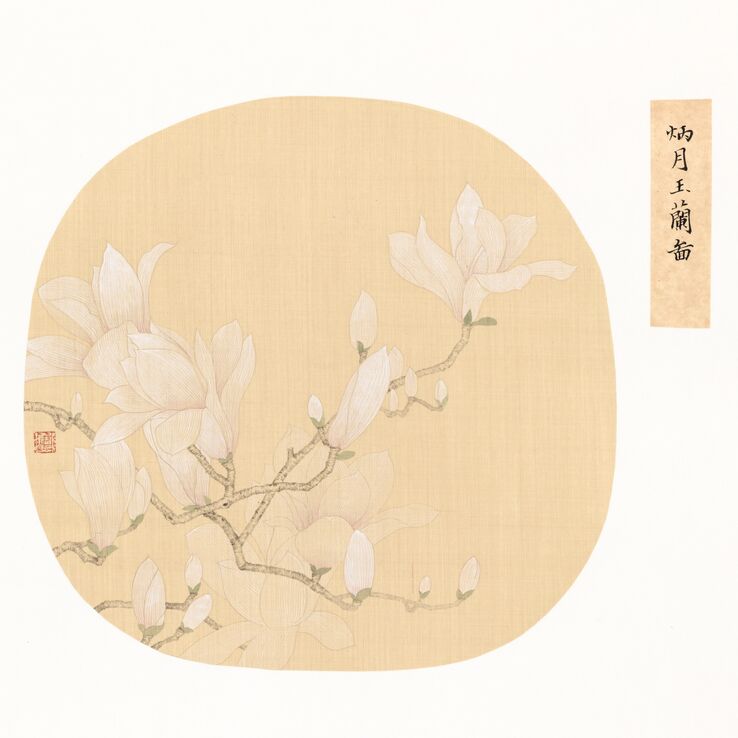 炳月玉兰图预览图