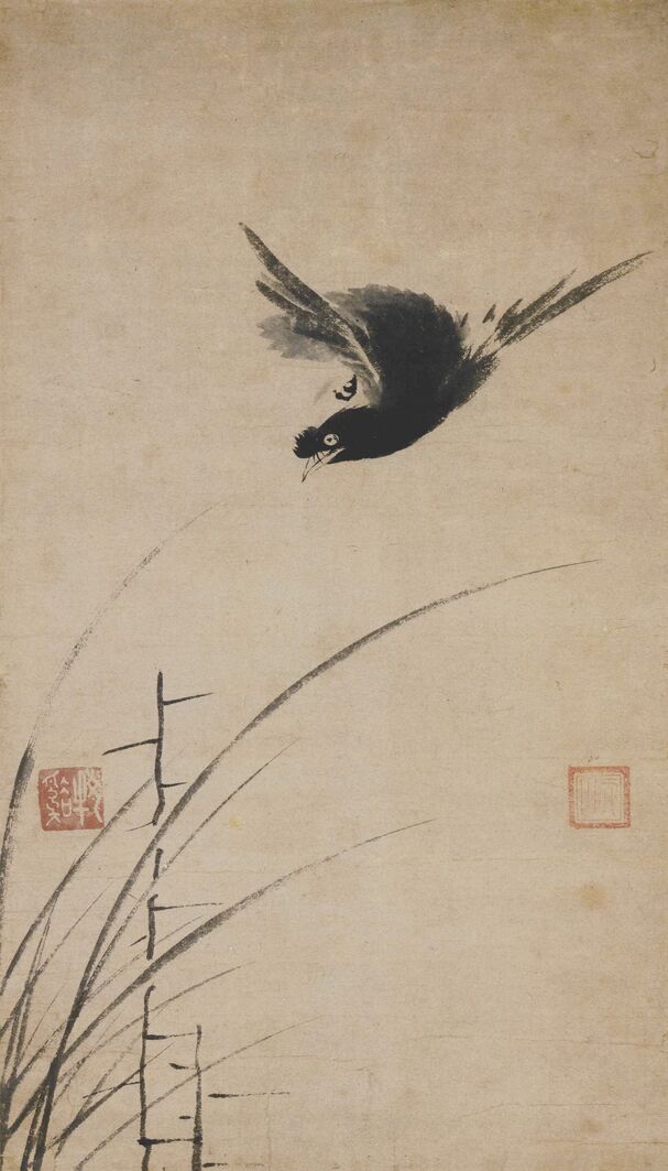 叭叭鸟图预览图