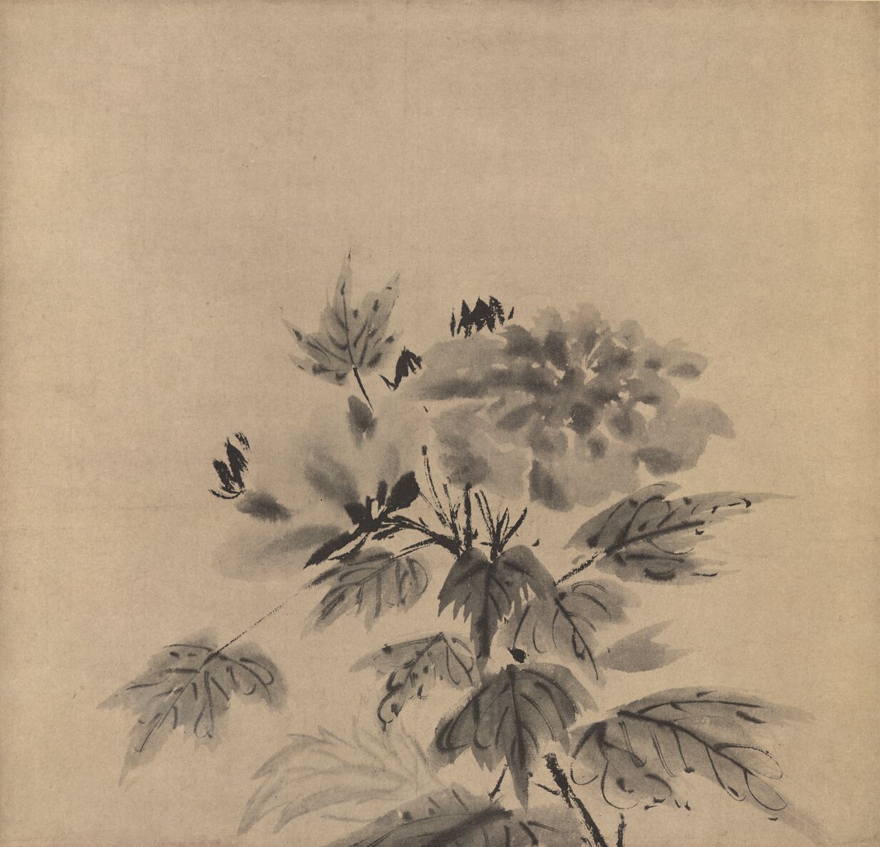 芙蓉图预览图