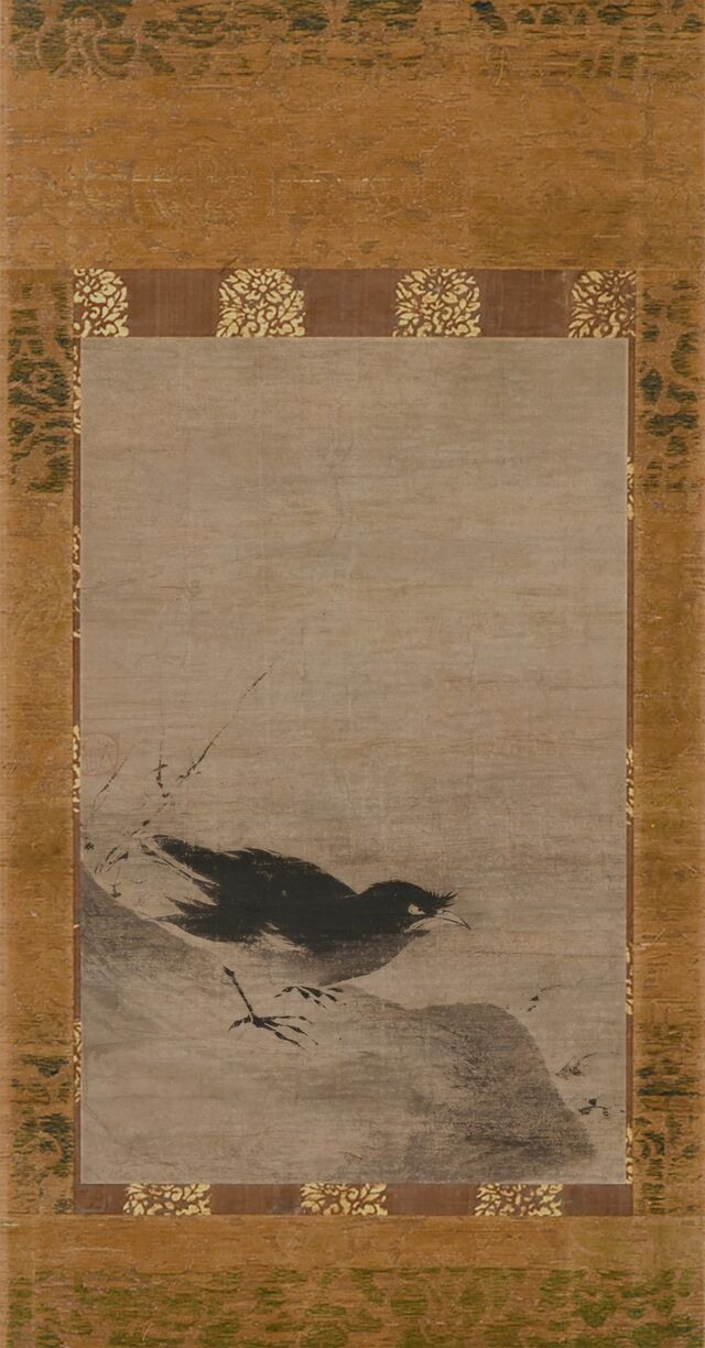 叭叭鸟图预览图