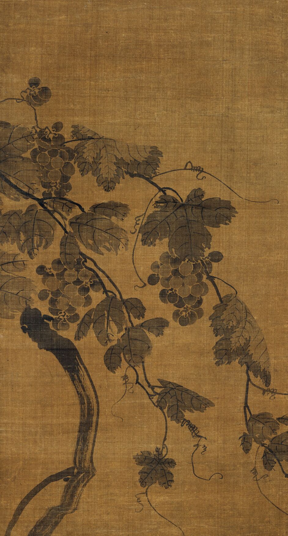 墨葡萄图缩略图