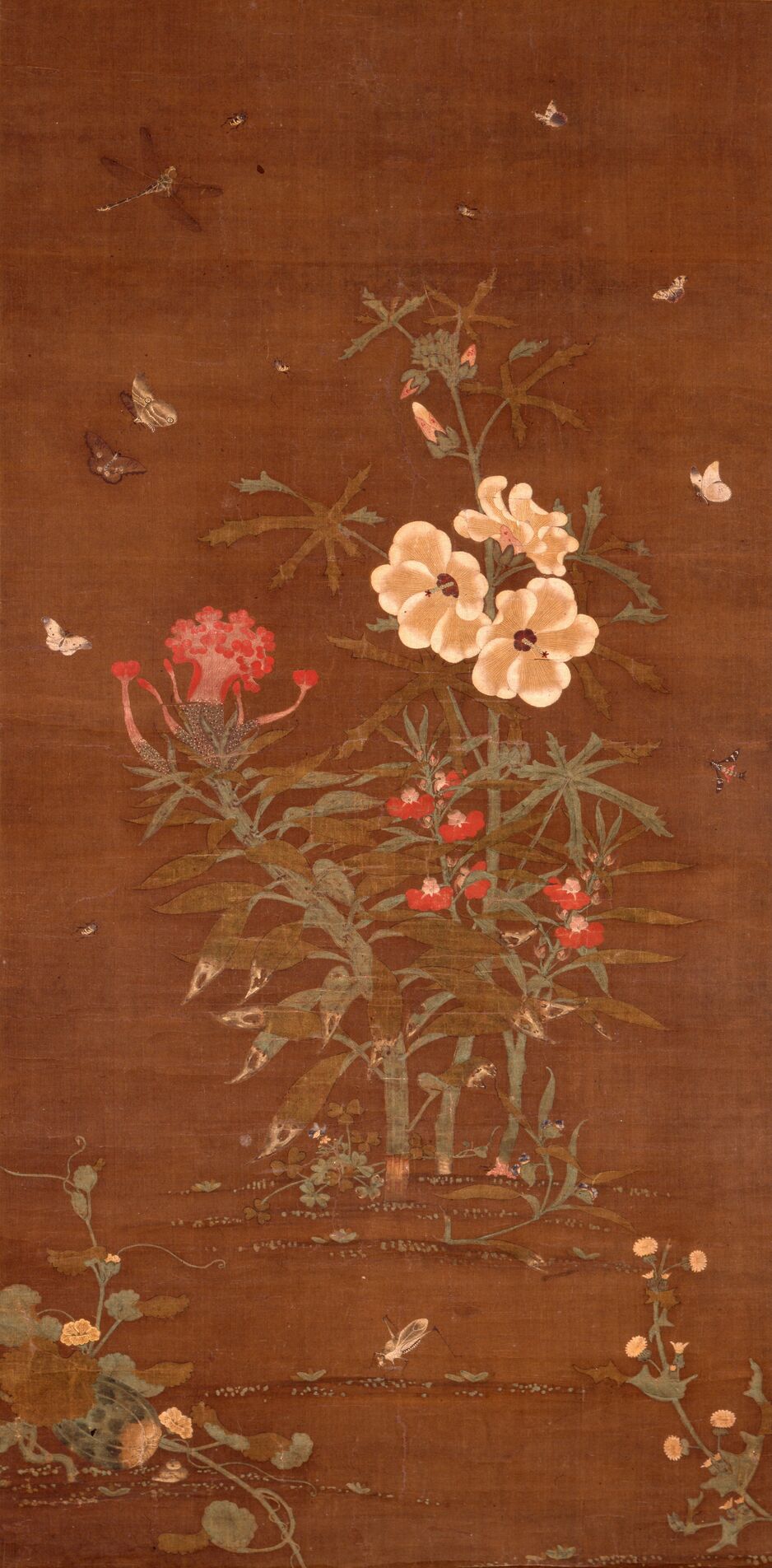 草虫图预览图