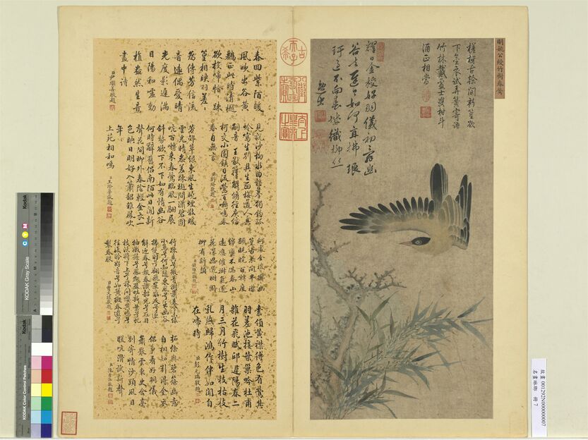 名画琳琅册-竹树春莺预览图