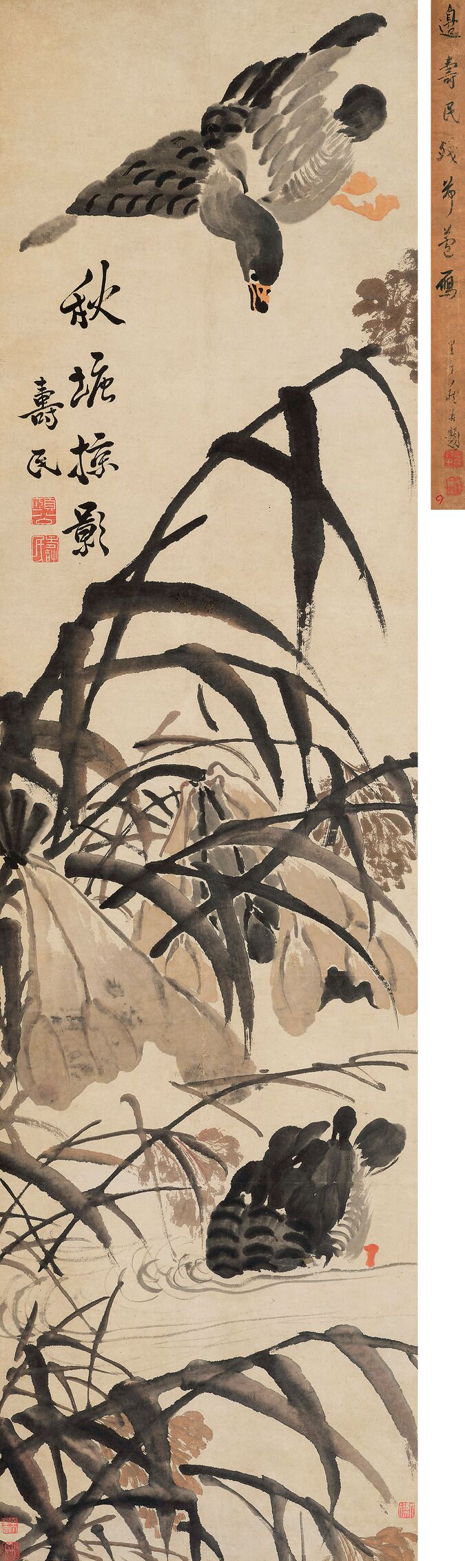 秋塘掠影预览图