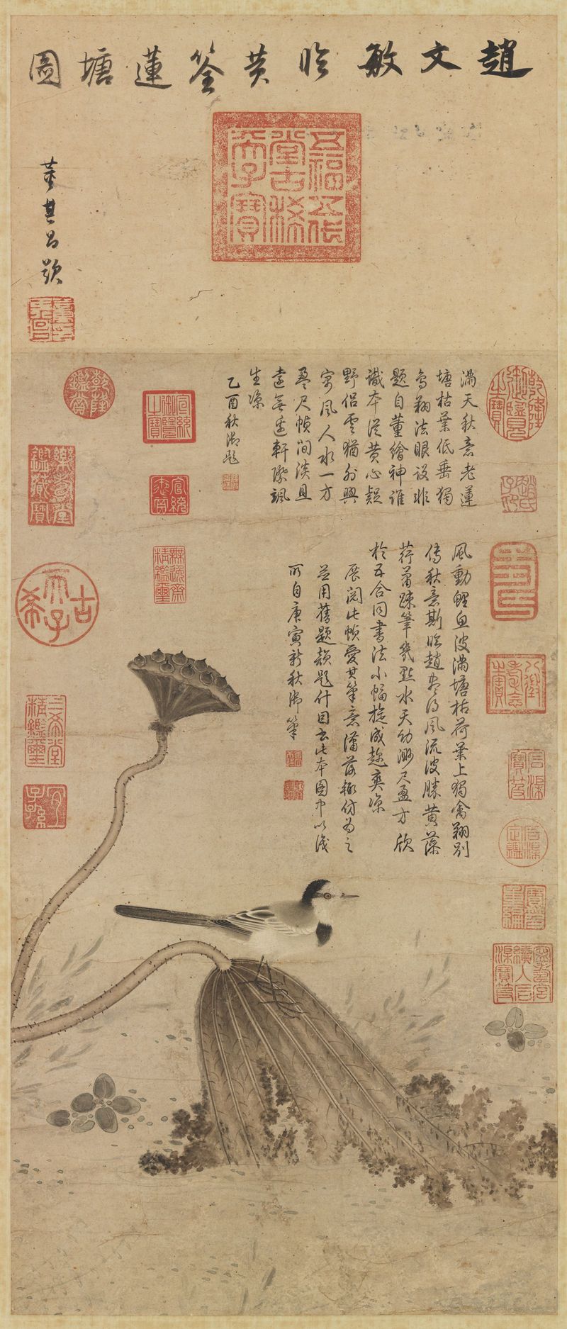 临黄筌莲塘图预览图