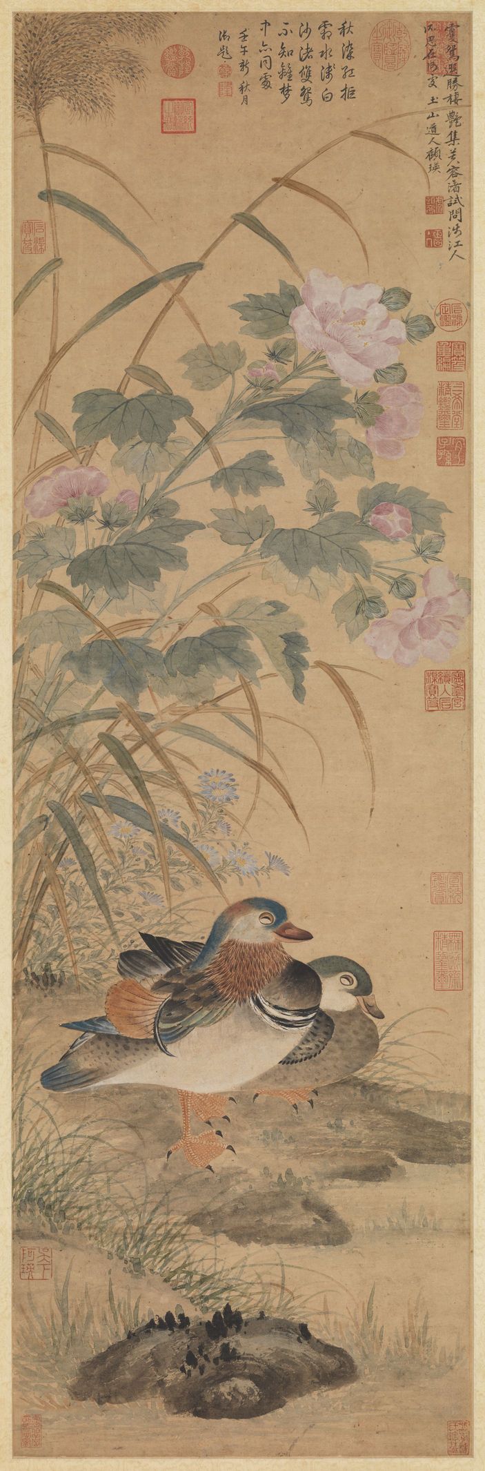 芙蓉双鸳图缩略图