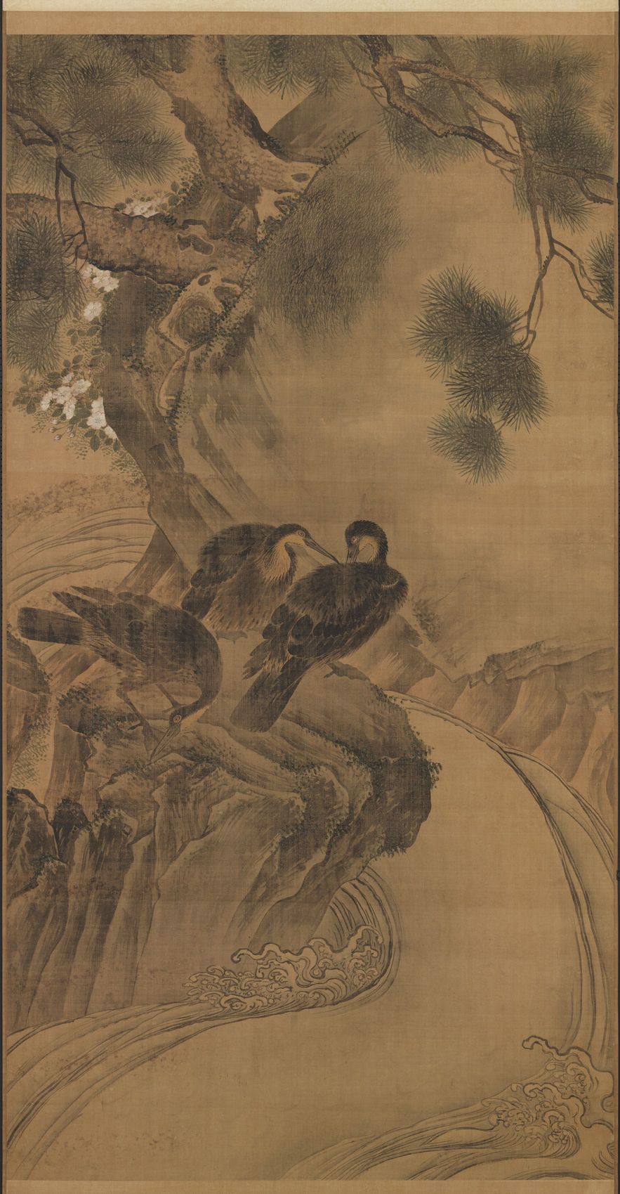 翎毛图预览图