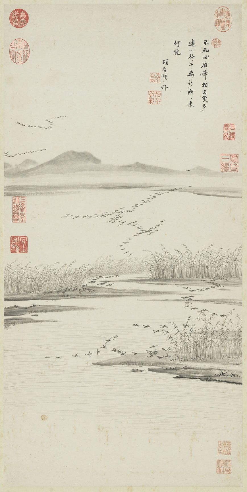 芦雁图预览图