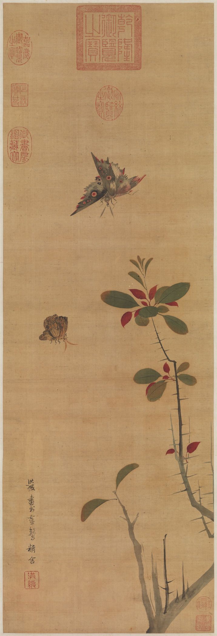 花蝶写生图预览图