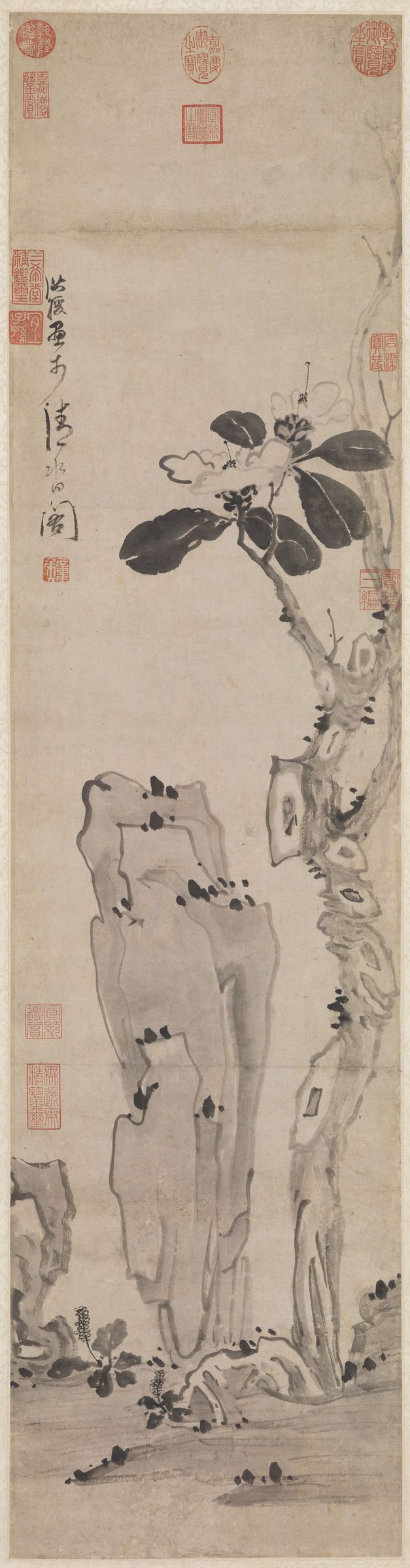 卷石山茶图预览图