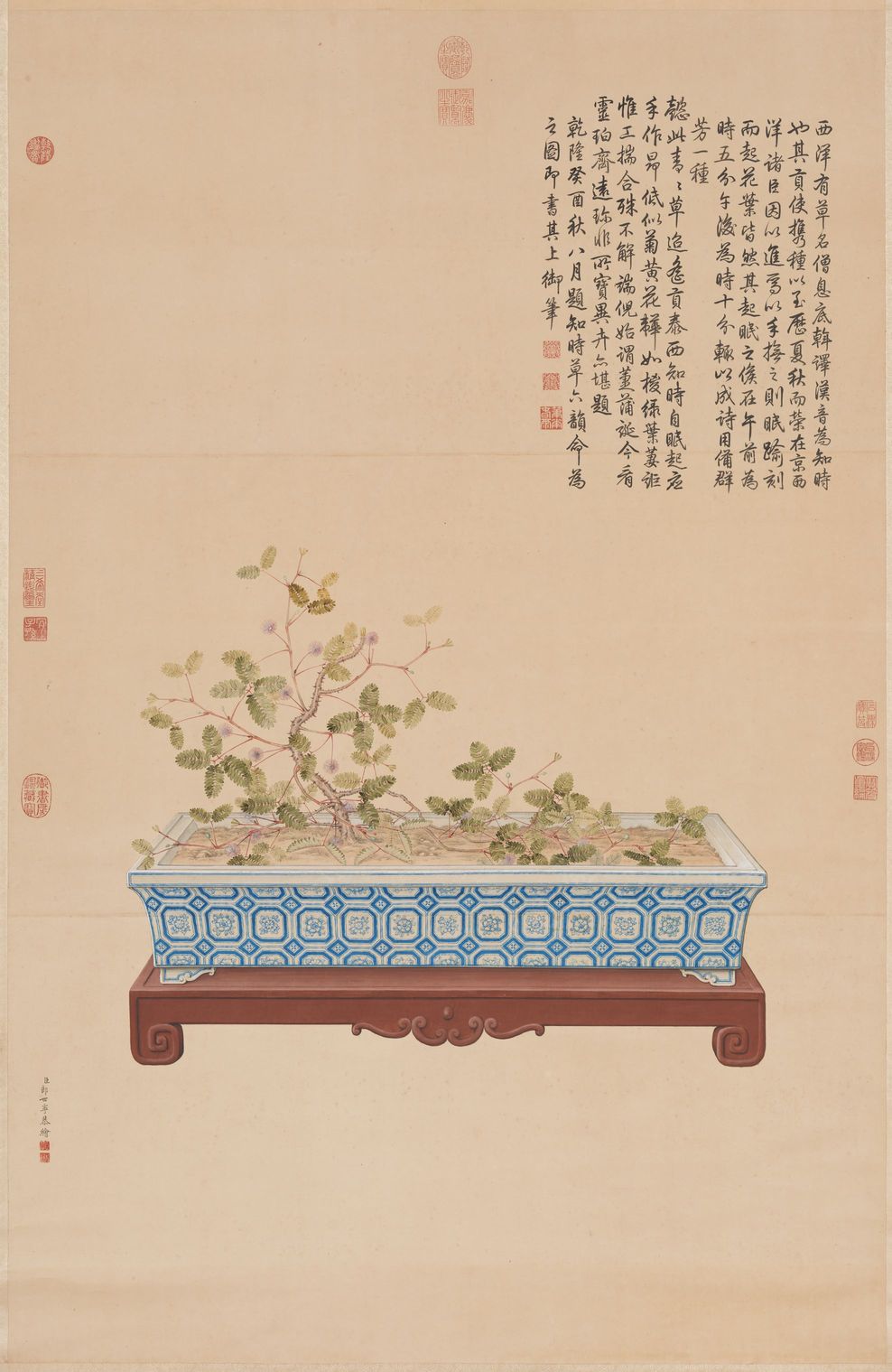 海西知时草图预览图