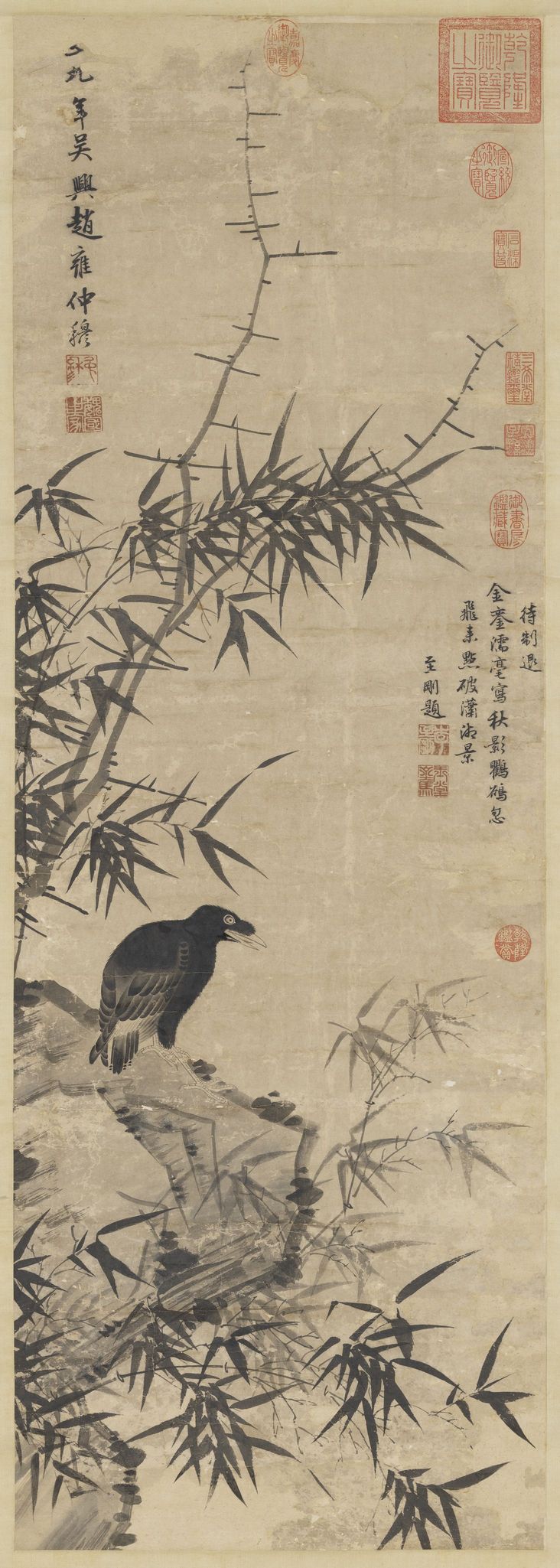 竹石鸜鹆图预览图