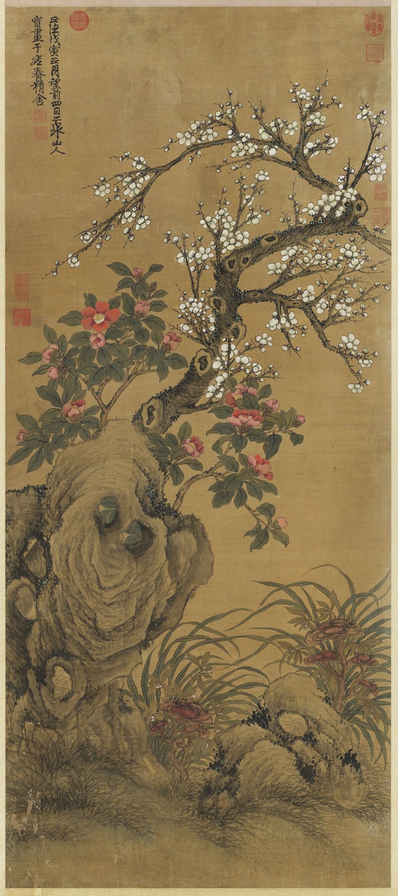 梅花山茶图预览图