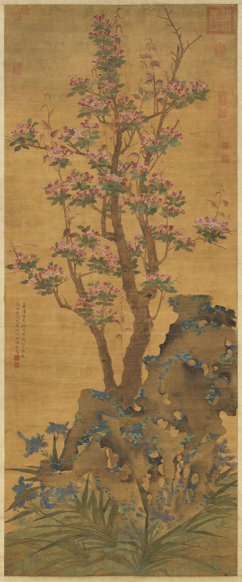 海棠图预览图