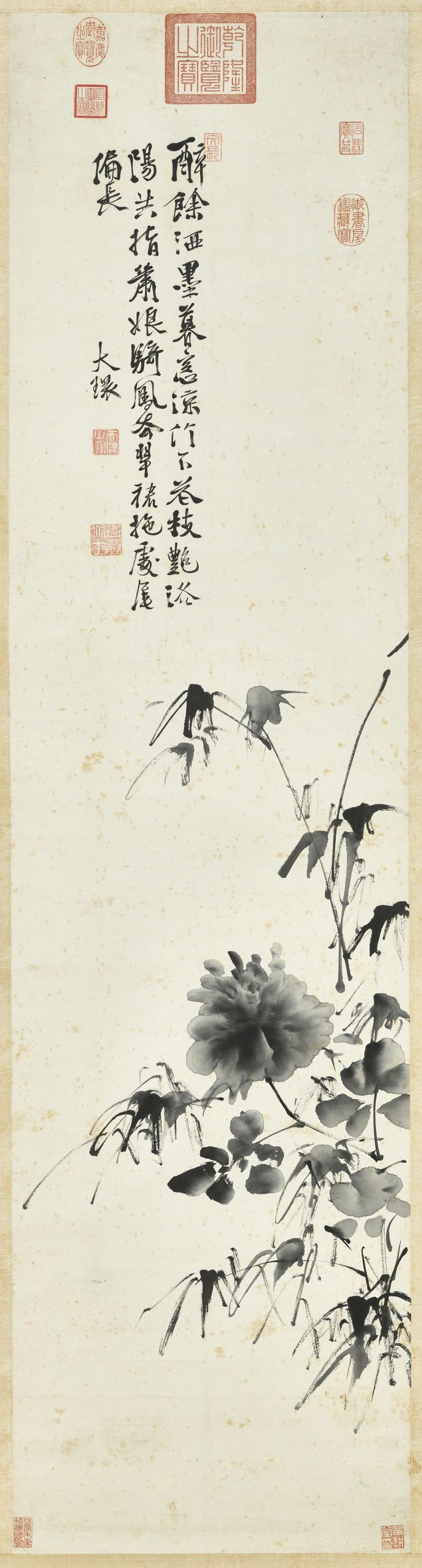 牡丹预览图