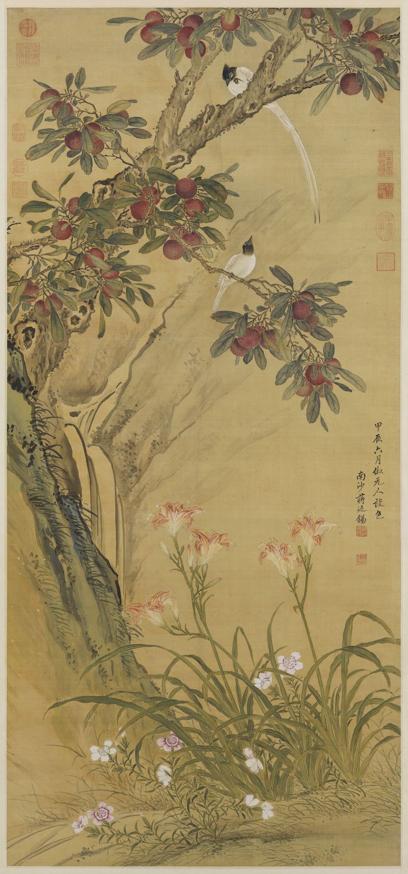 杨梅练雀图预览图