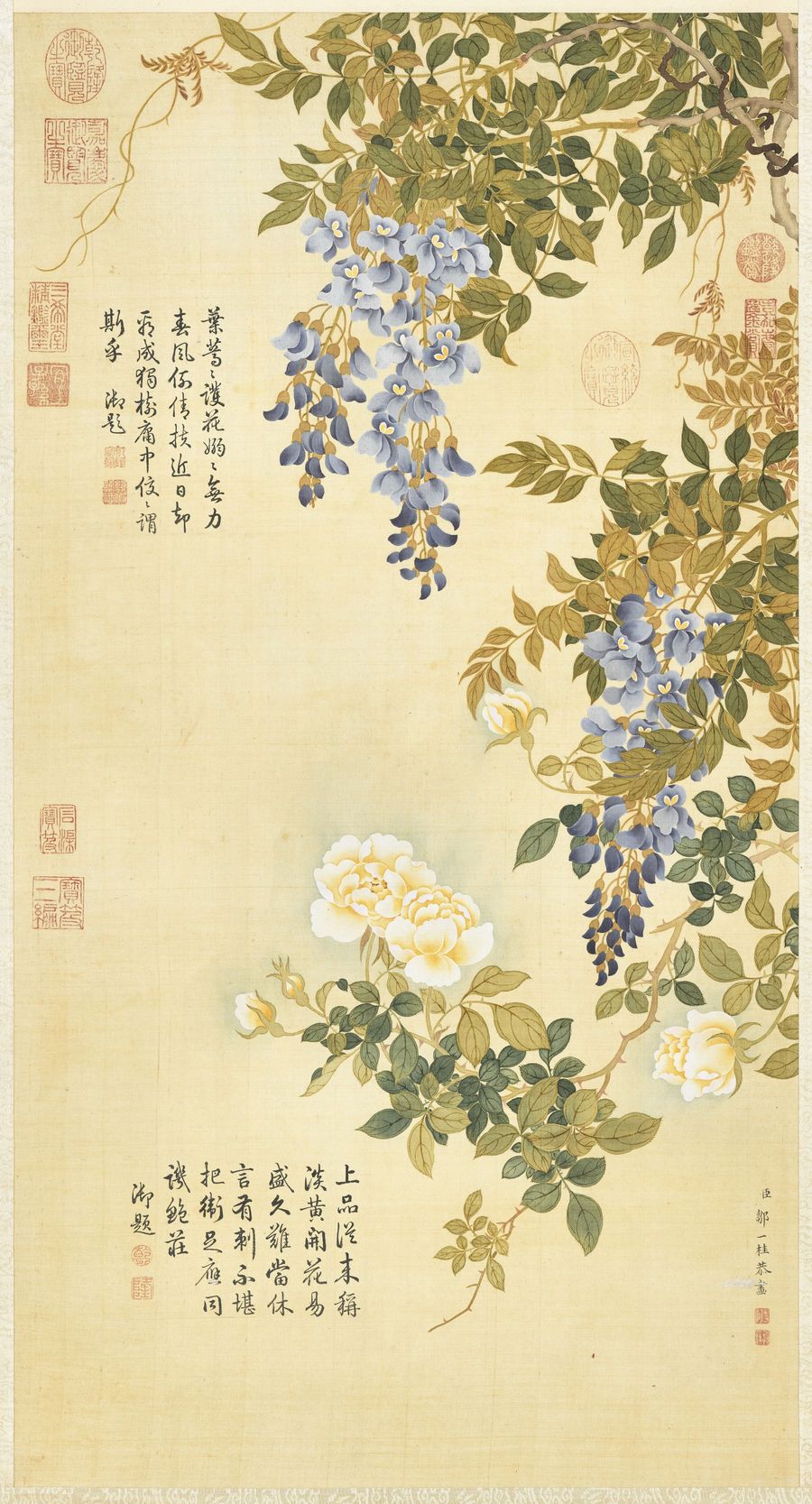 蔷薇朱藤图预览图