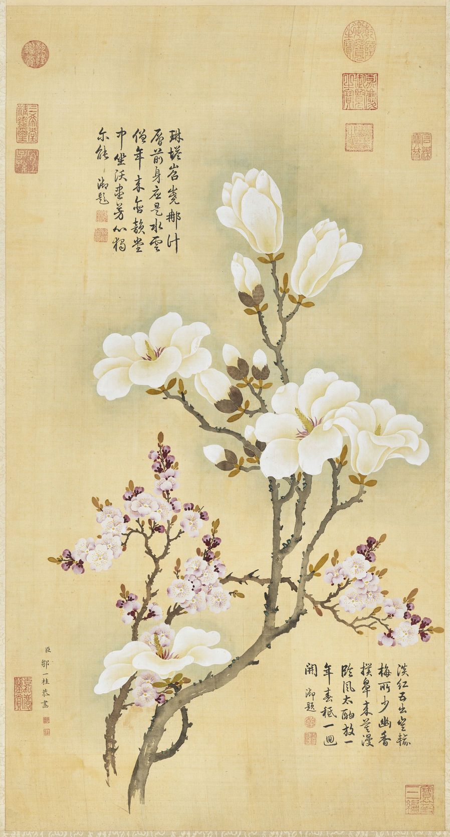 玉兰红杏图预览图