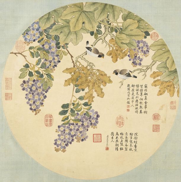 梧桐紫薇图预览图