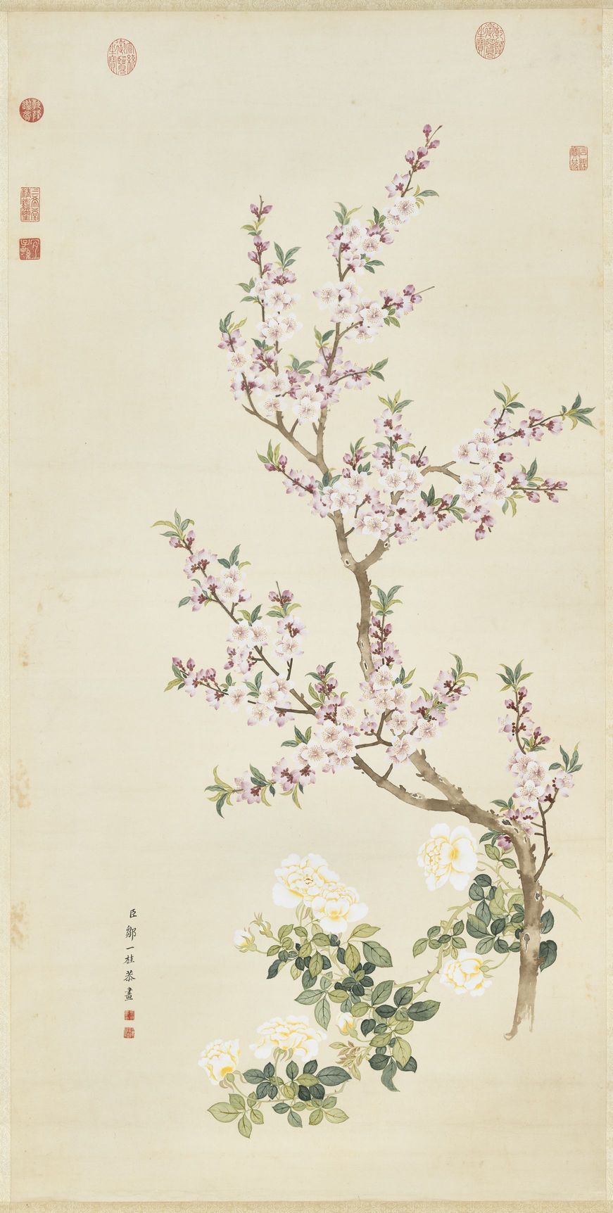 桃花蔷薇图预览图