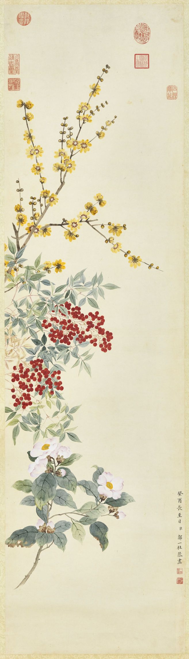 蜡梅天竺山茶图预览图