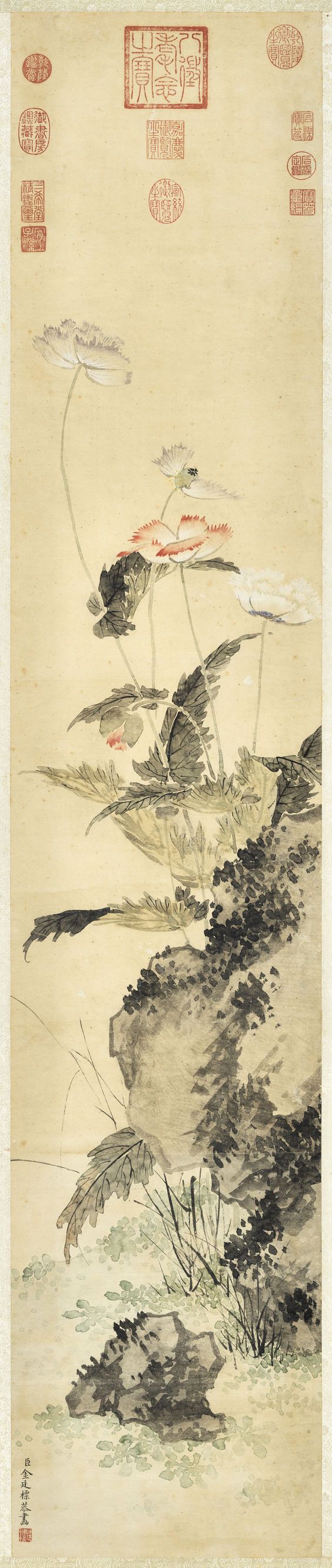 罂粟图缩略图