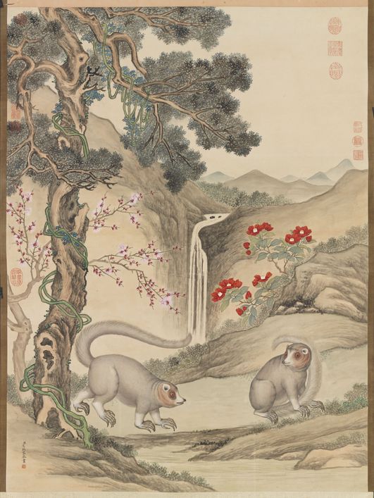 山猫图缩略图