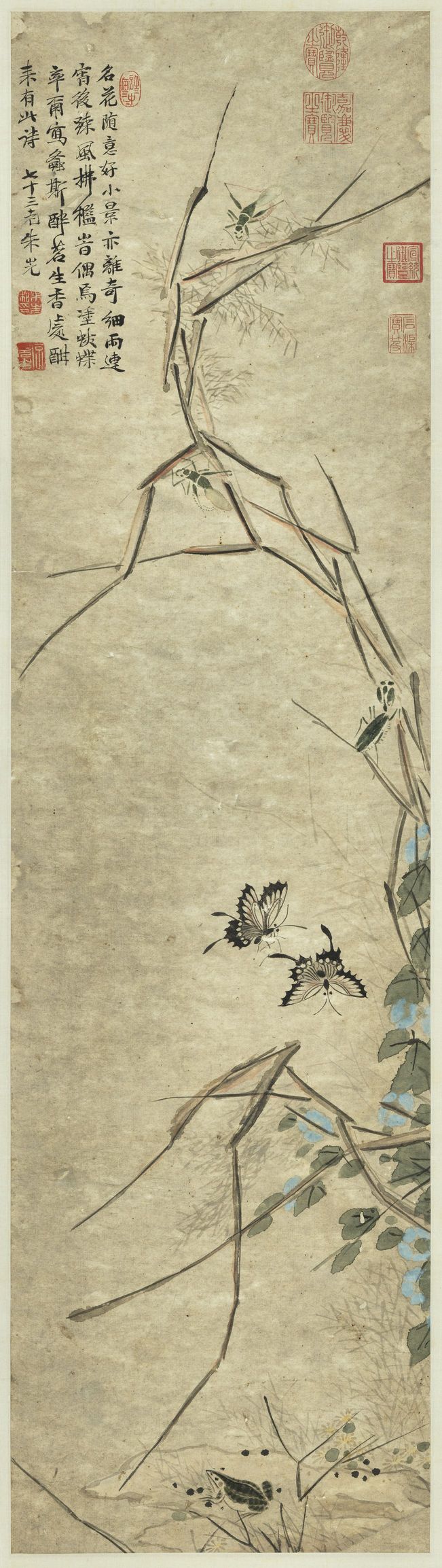 草虫图预览图