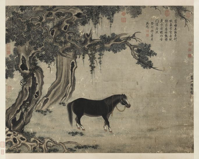 马图缩略图
