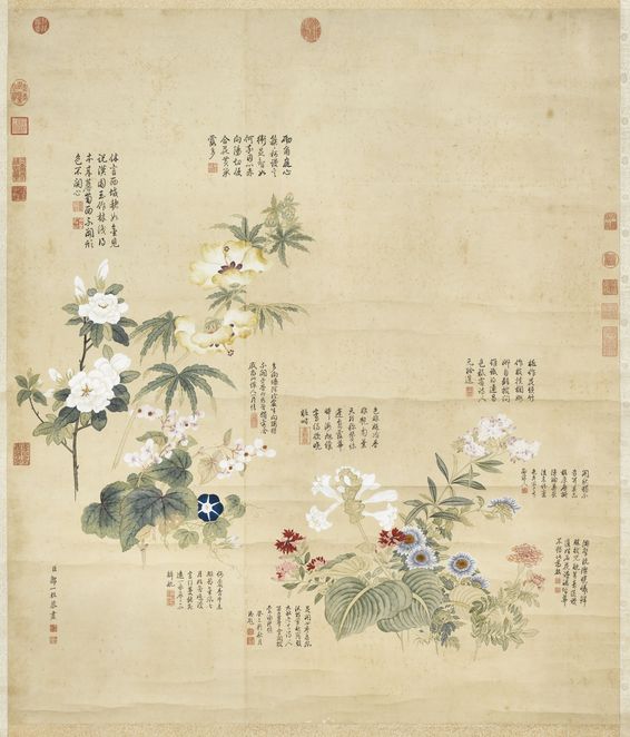 秋花九种图预览图