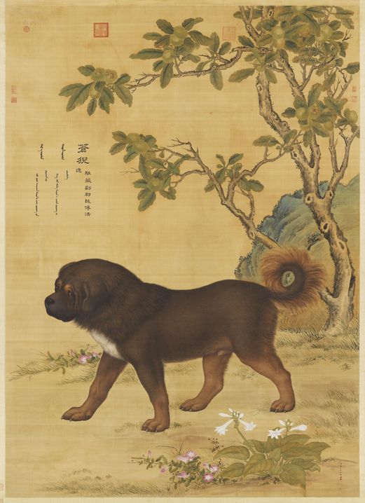 十骏犬苍猊犬图预览图