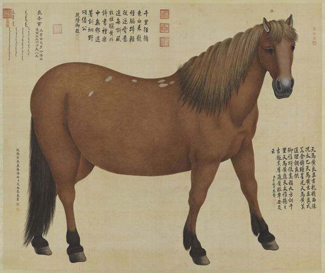良吉黄图缩略图