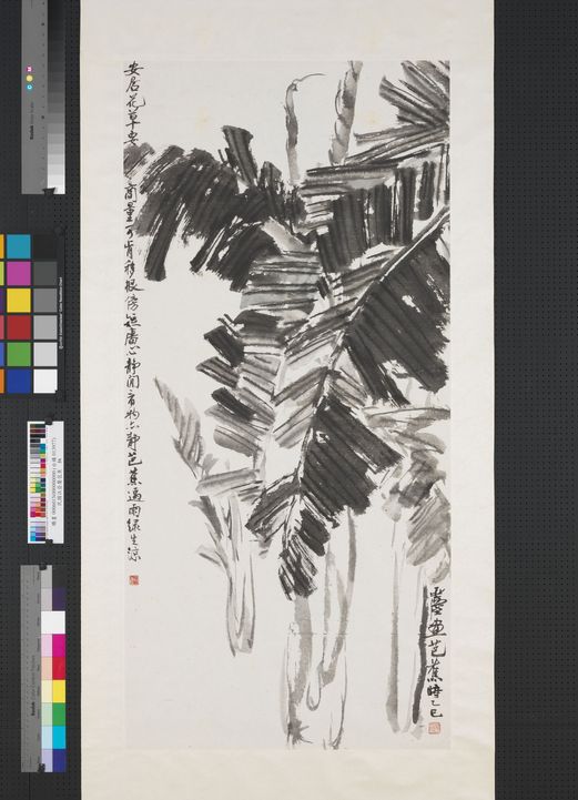 芭蕉图预览图