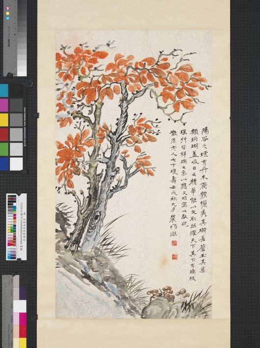 丹木灵草图缩略图