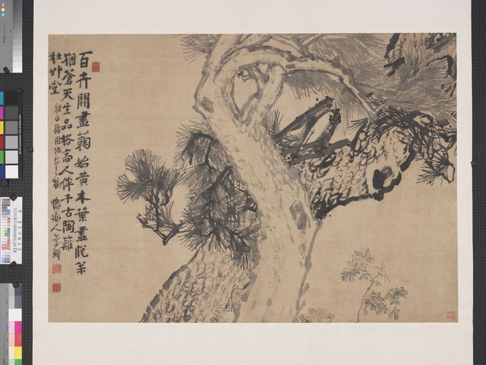 松菊图预览图