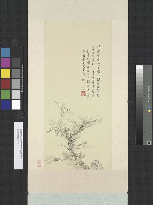 秋风古树图预览图
