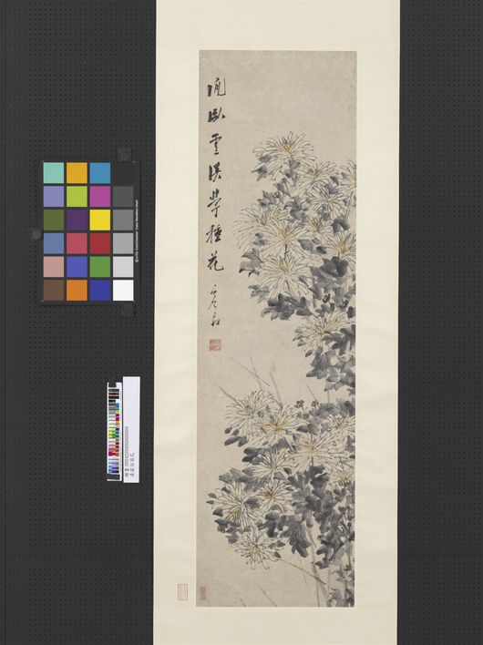 菊花图预览图