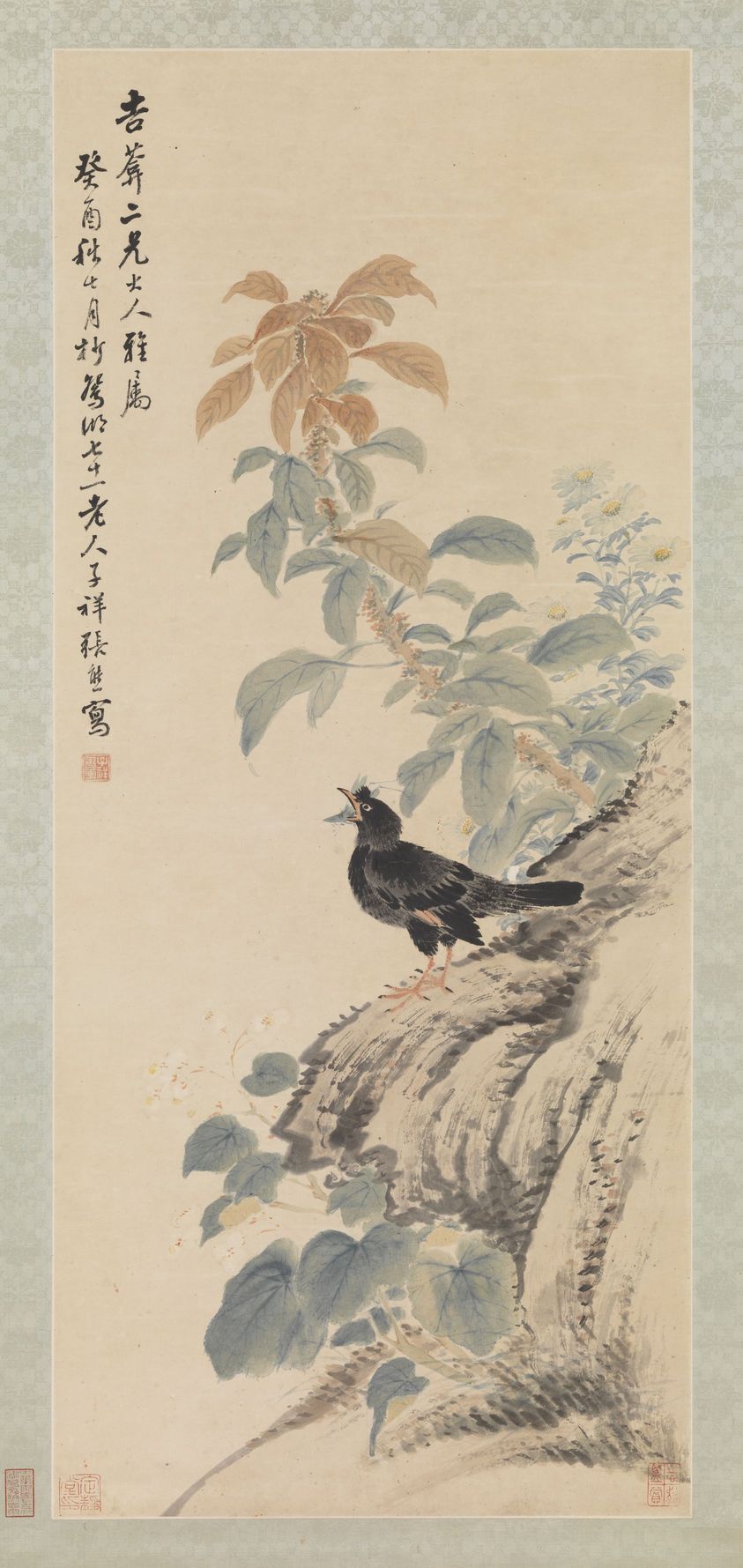 鸜鹆图预览图