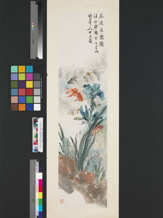 鱼乐图预览图