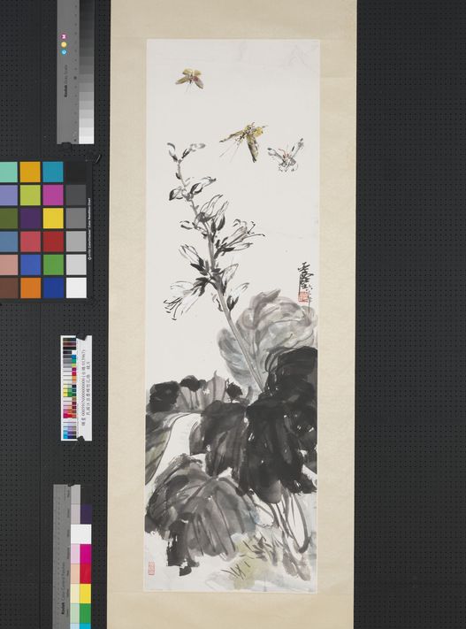 蝶恋花娇镜片图预览图