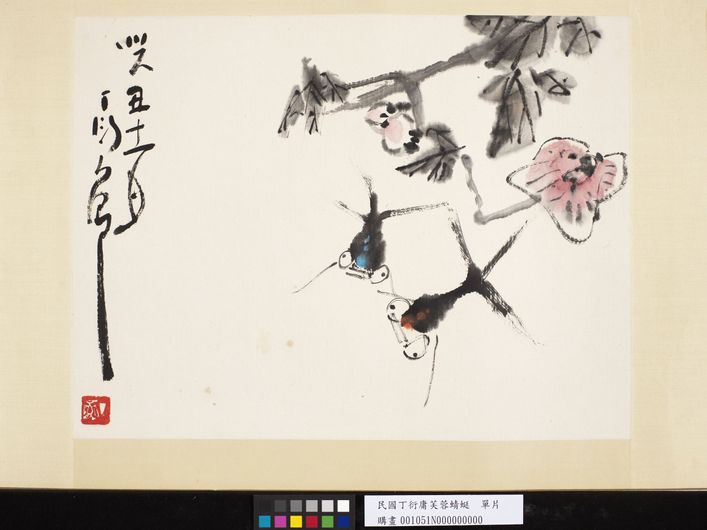 芙蓉蜻蜓单片图缩略图