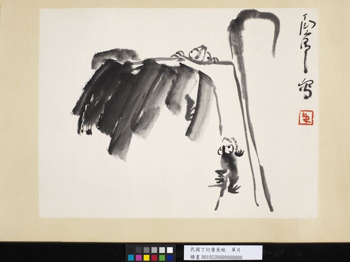 蕉蛙单片缩略图