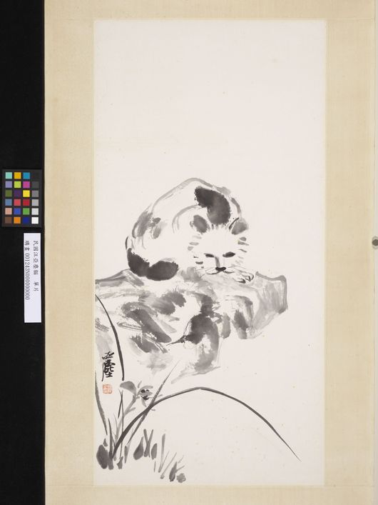 猫图缩略图