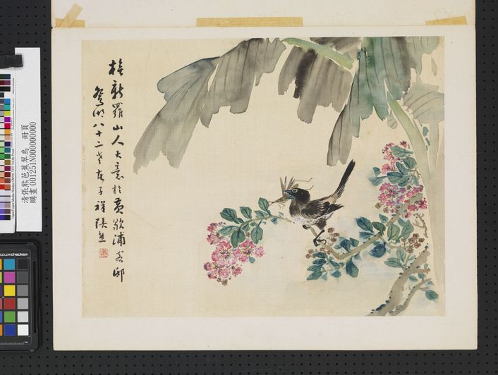 芭蕉翠鸟图预览图