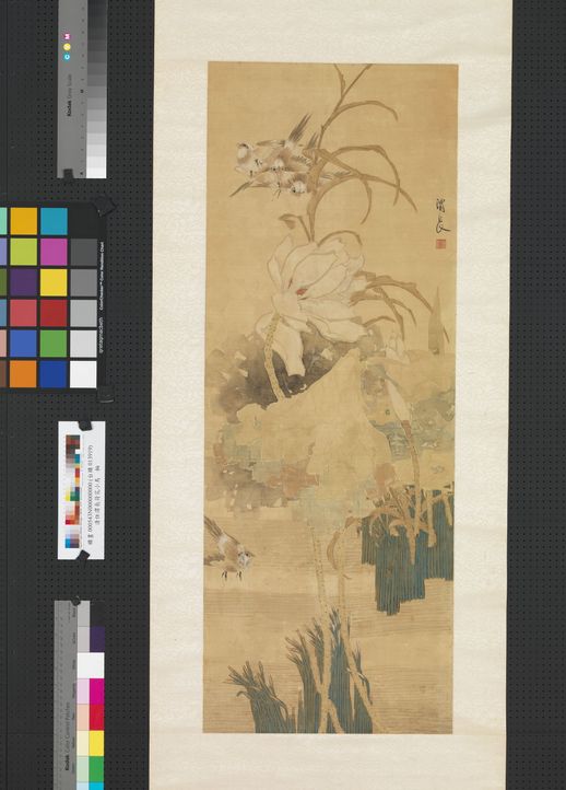 荷花小鸟图预览图