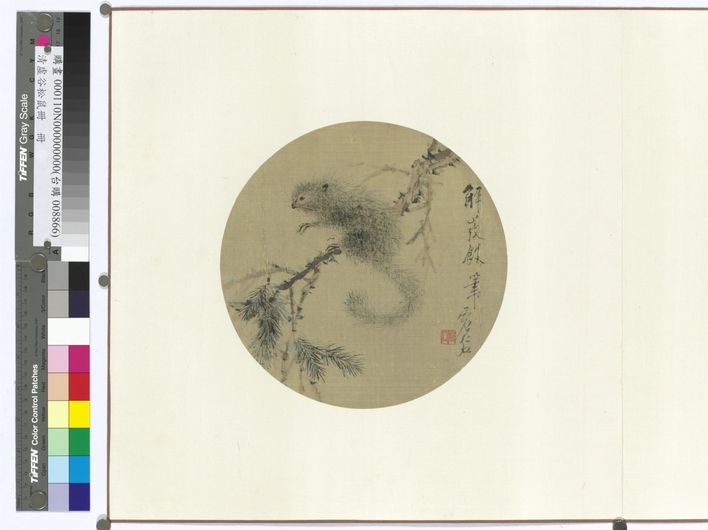 松鼠图预览图