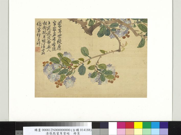 蒙茸紫绶图预览图