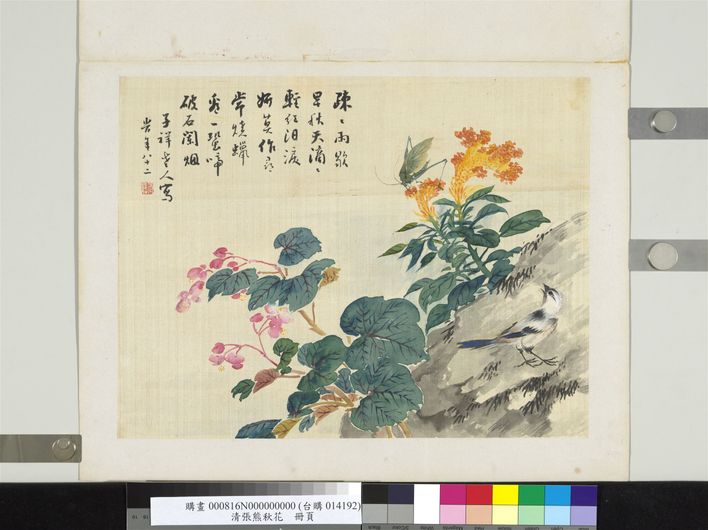 秋花图预览图