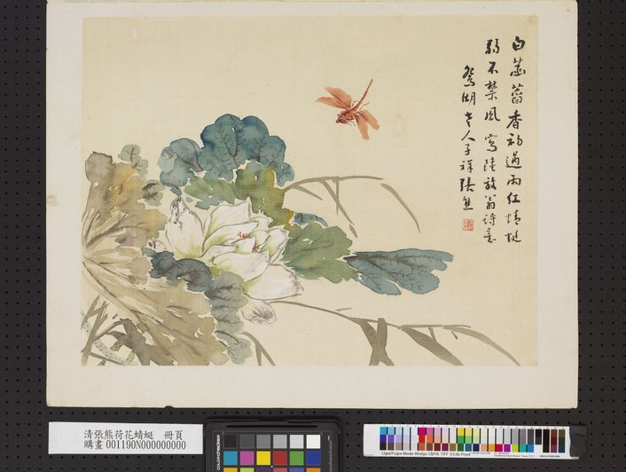 荷花蜻蜓图缩略图